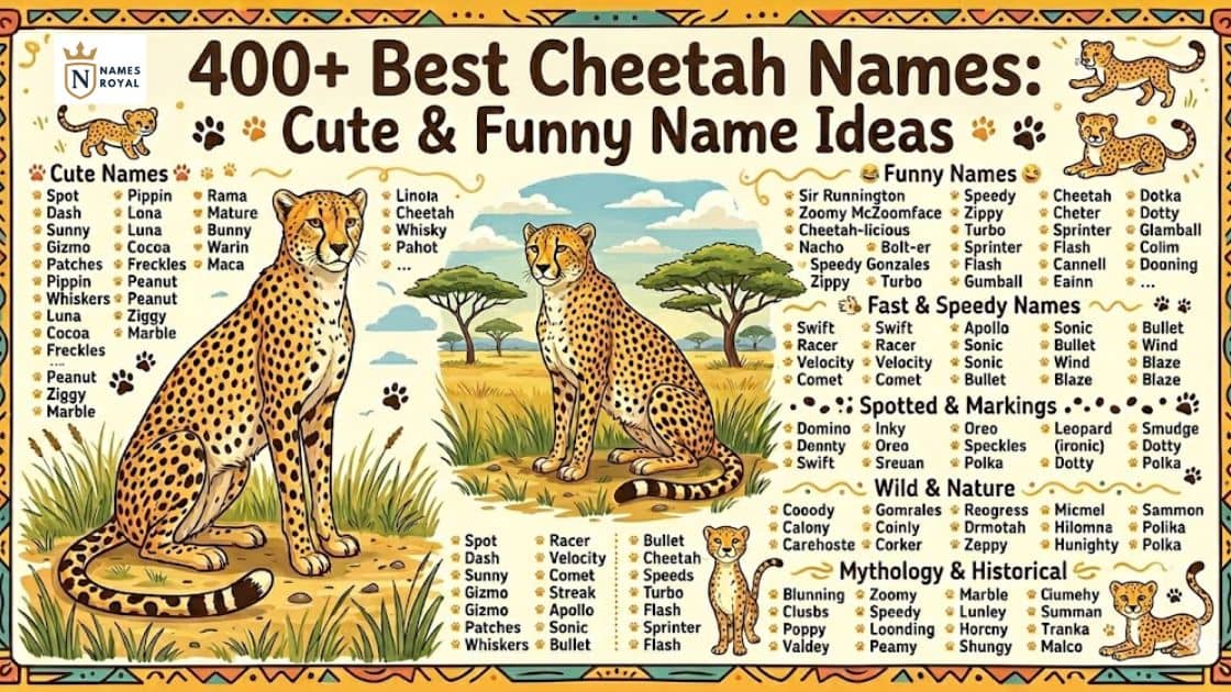 cheetah names