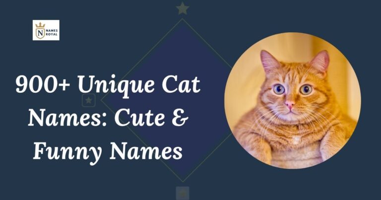 Unique Cat Names
