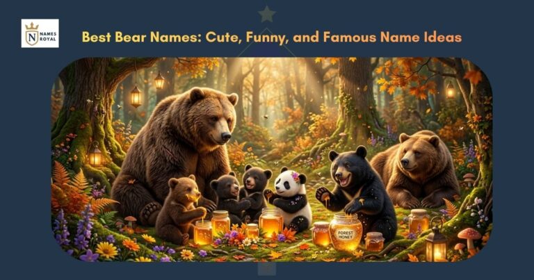 bear names