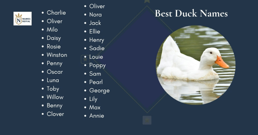 Best Duck Names