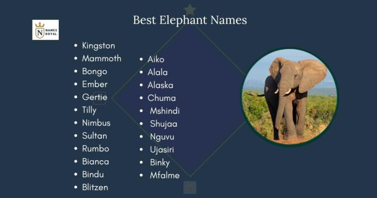 Best Elephant Names