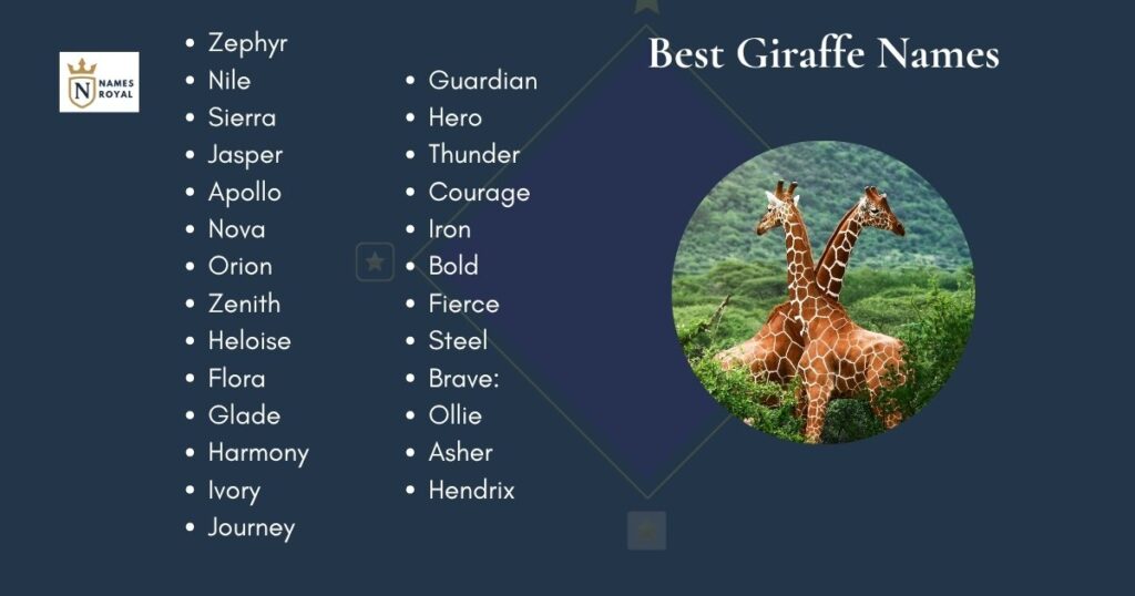 Best Giraffe Names
