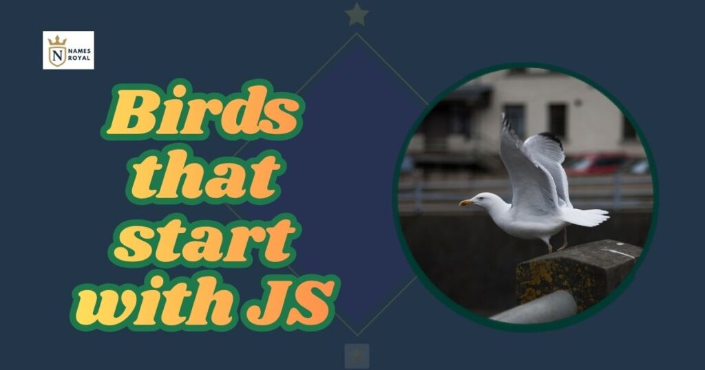 Birds that start with JS