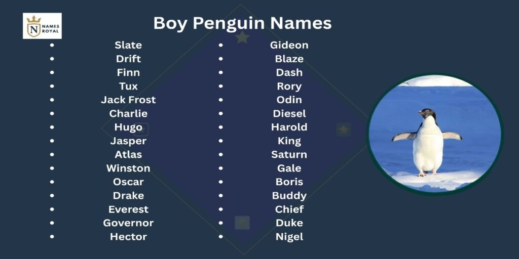 cute baby penguin names