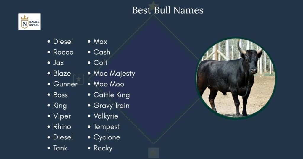 Bull Names