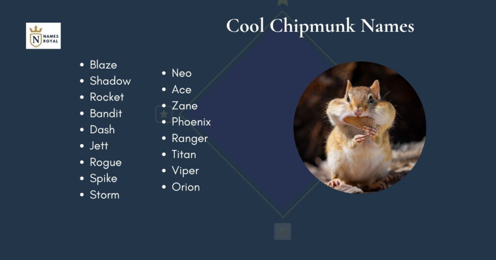 Cool  Chipmunk Names