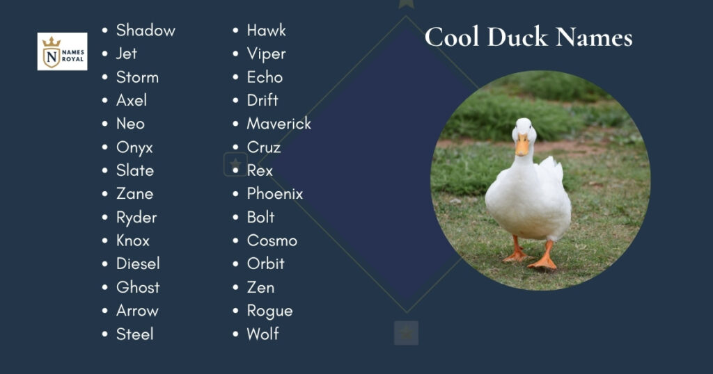 Cool Duck Names