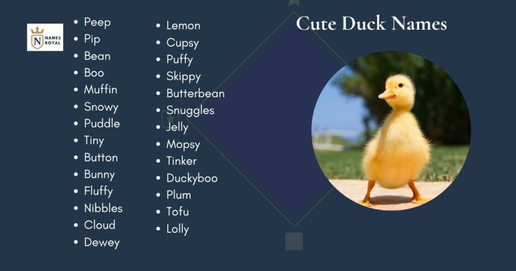 Cute Duck Names