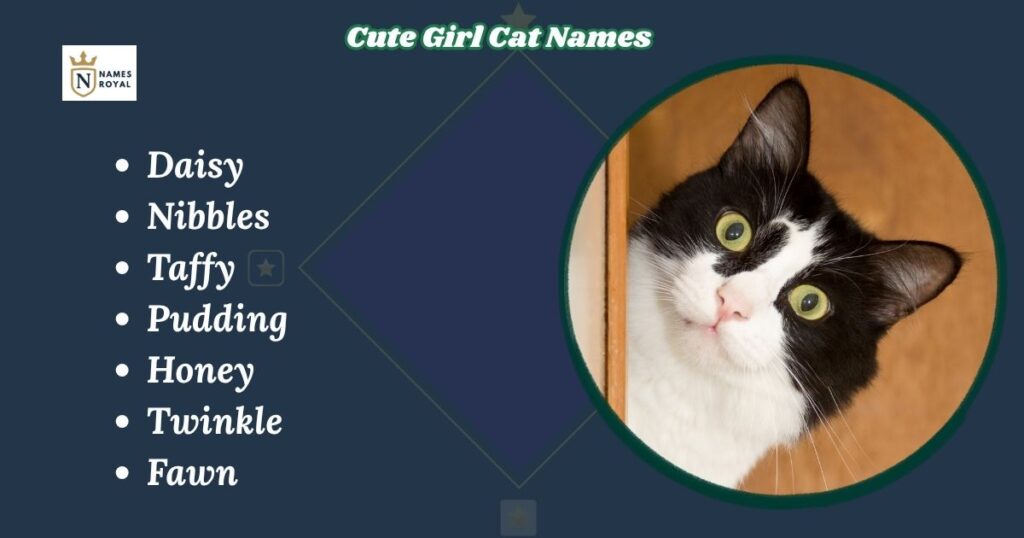 Cute Girl Cat Names