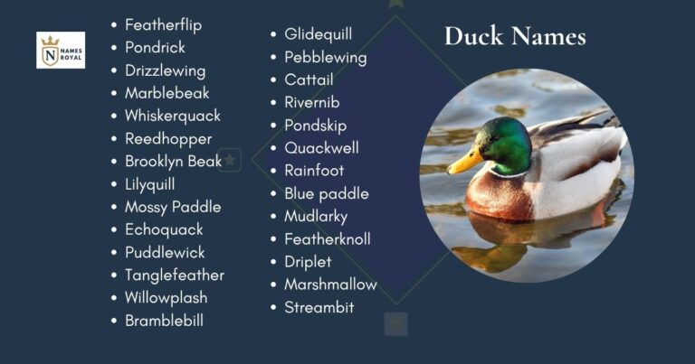 Duck Names