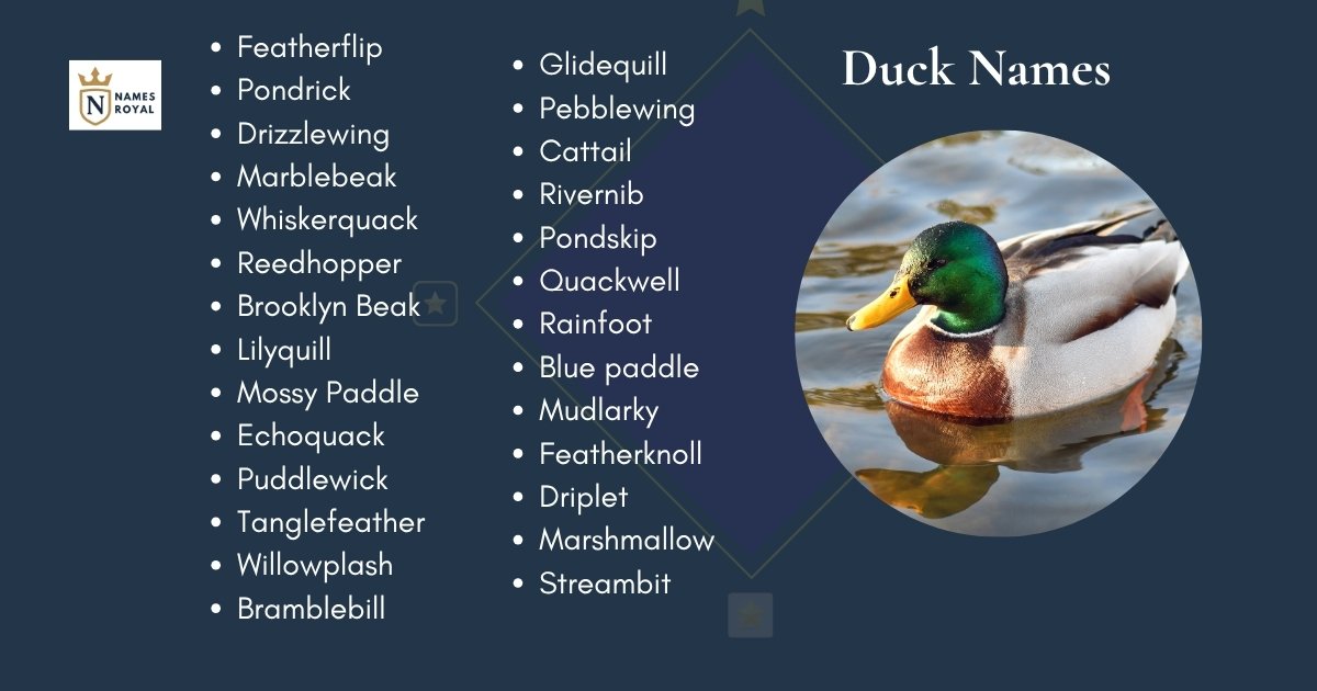 Duck Names