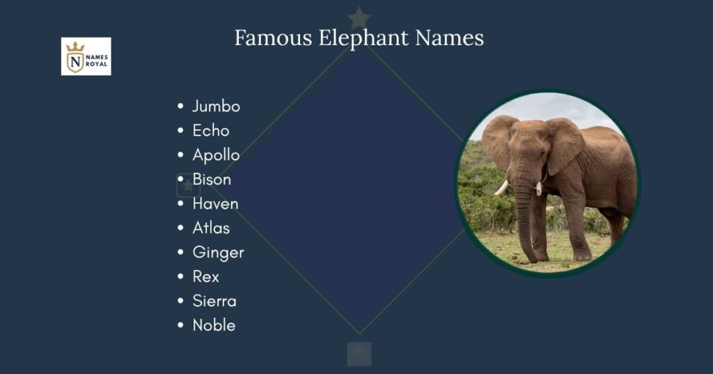 Famous Elephant Names