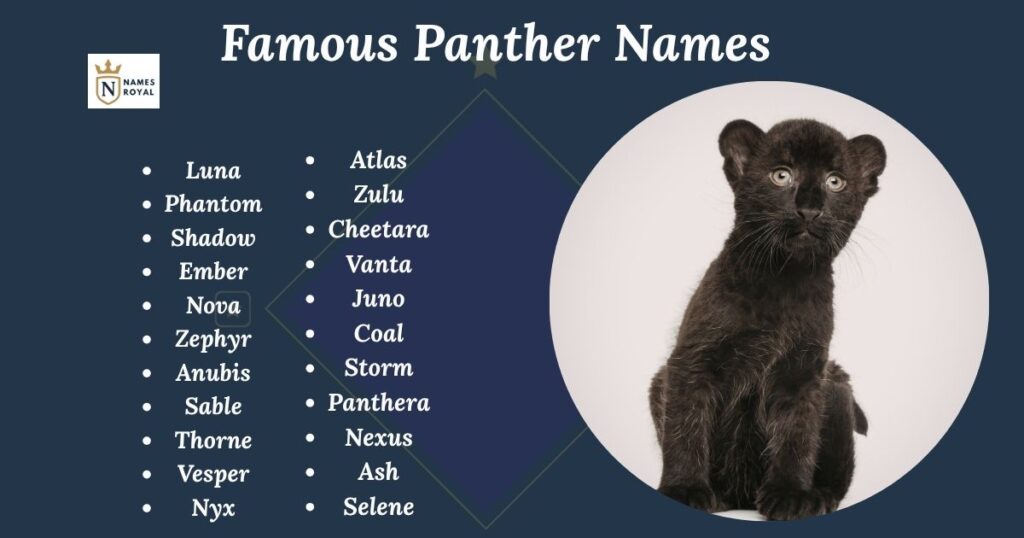 Famous Panther Names