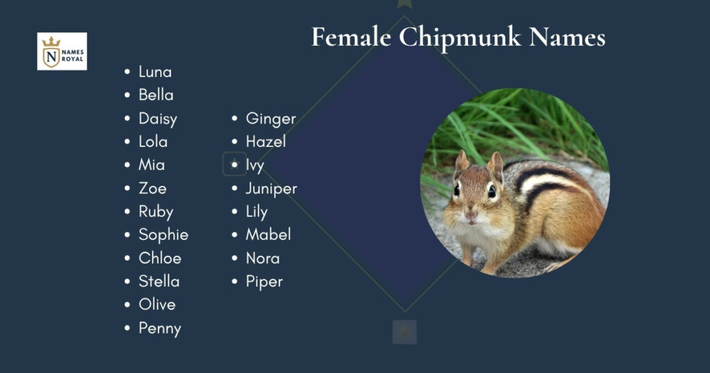 Female   Chipmunk Names