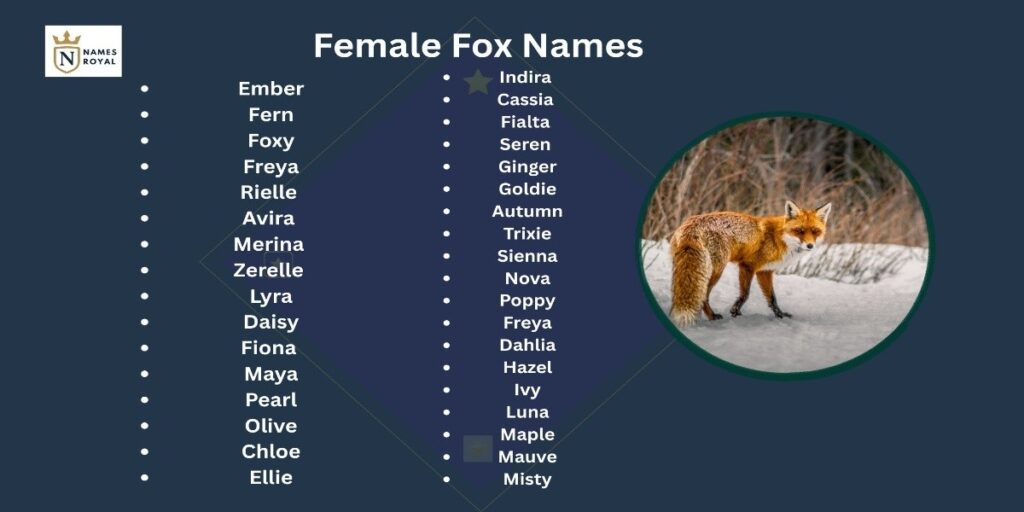 cute fox names