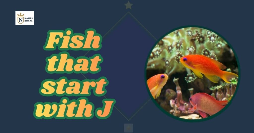Fish that start with J