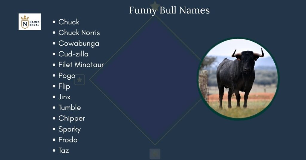 Funny Bull Names