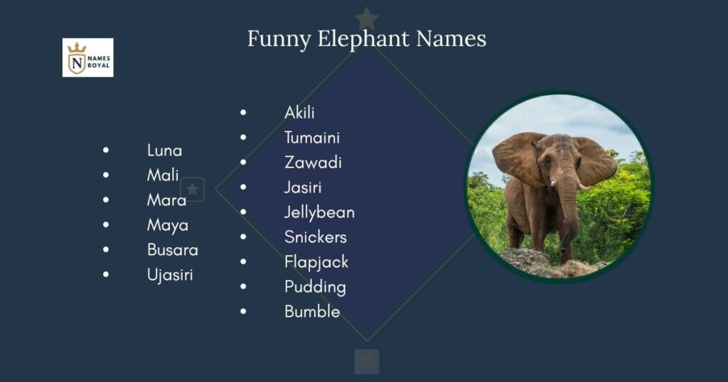 Funny Elephant Names