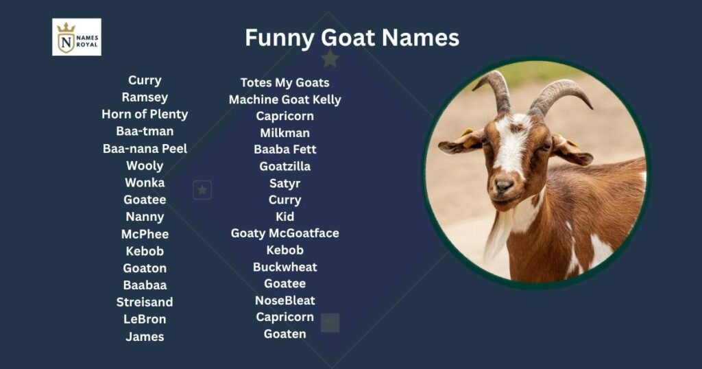 Funny Goat Names