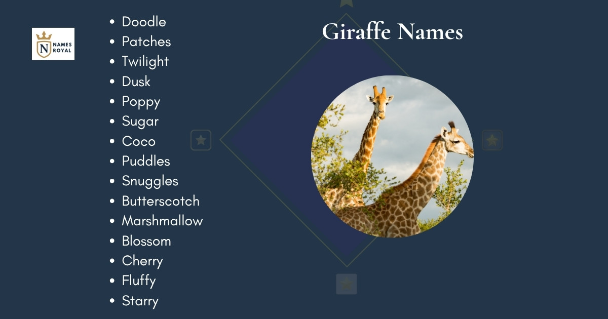 Giraffe Names