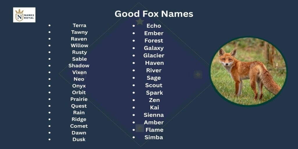 names for a fox