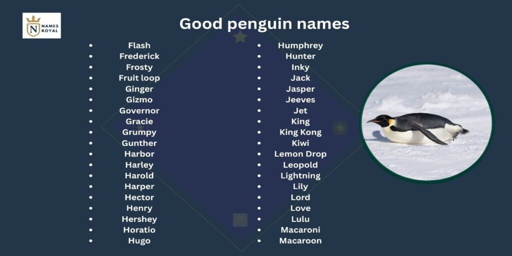 girl penguin names
