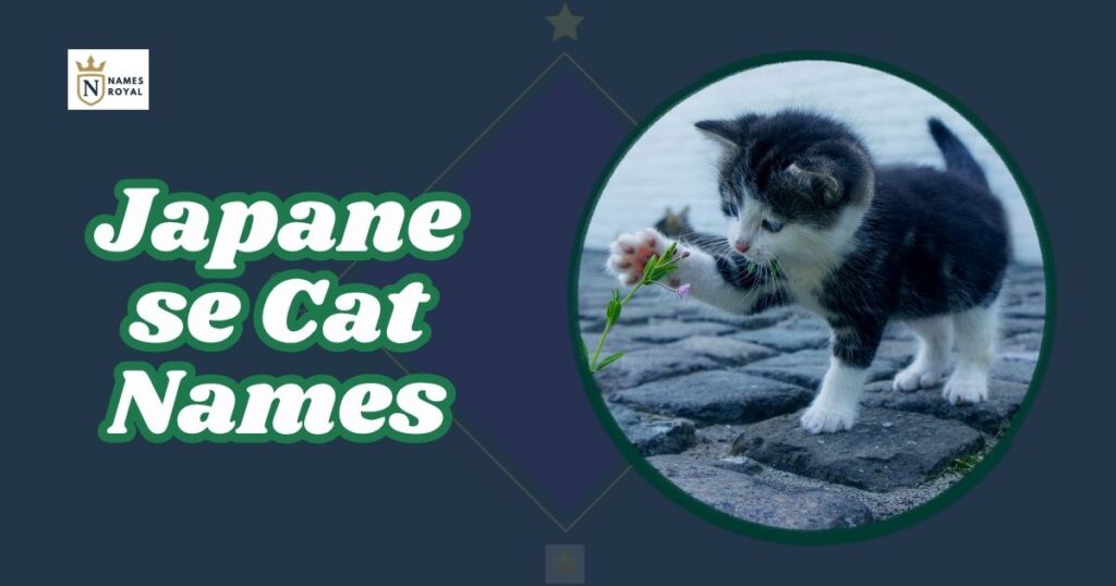 Japanese Cat Names