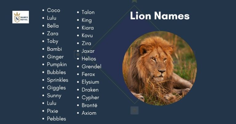 Lion Names