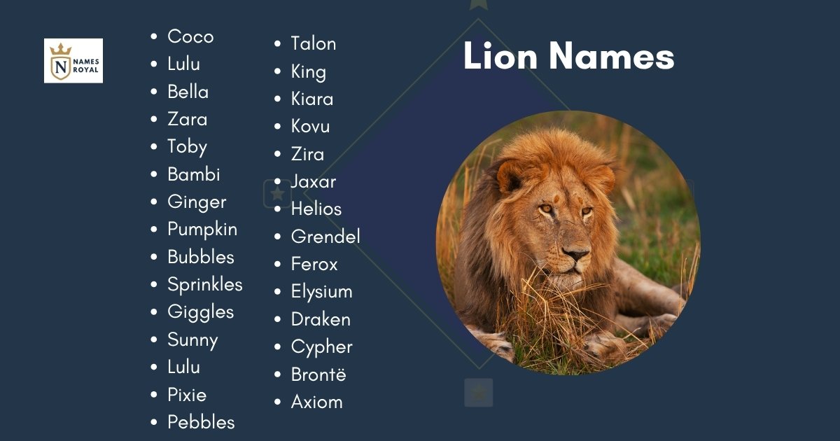 Lion Names