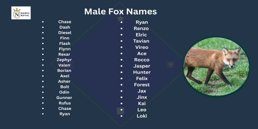 cute fox names