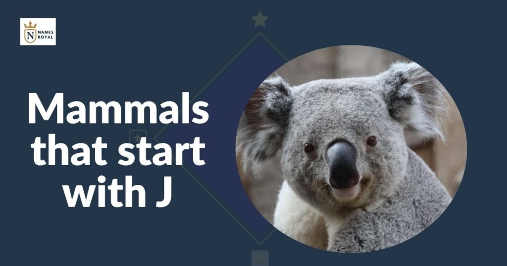 animals that start with j