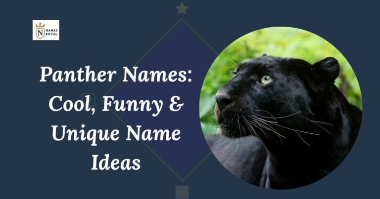 Panther names