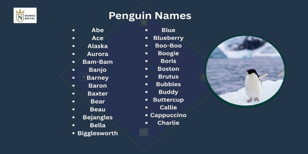 Cute Penguins