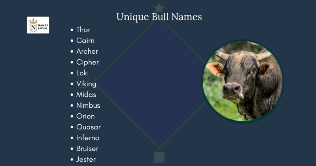 Unique Bull Names
