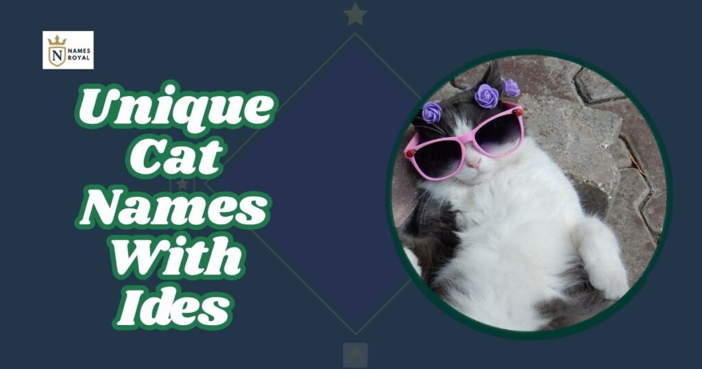 Unique Cat Names With Ides