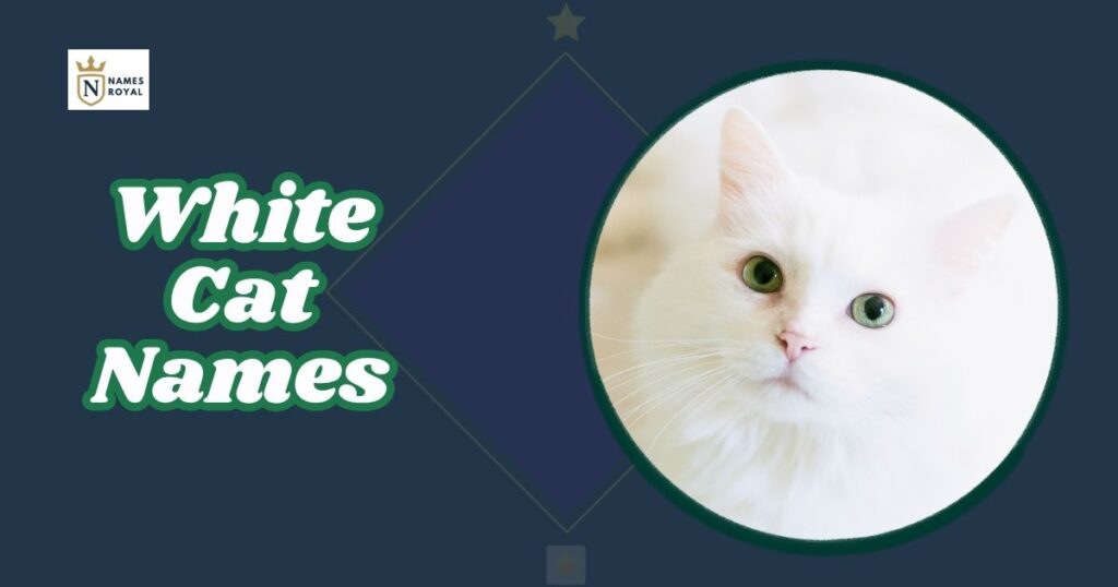 White Cat Names