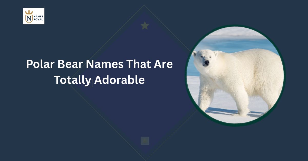 Polar Bear Names