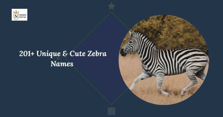 Zebra names