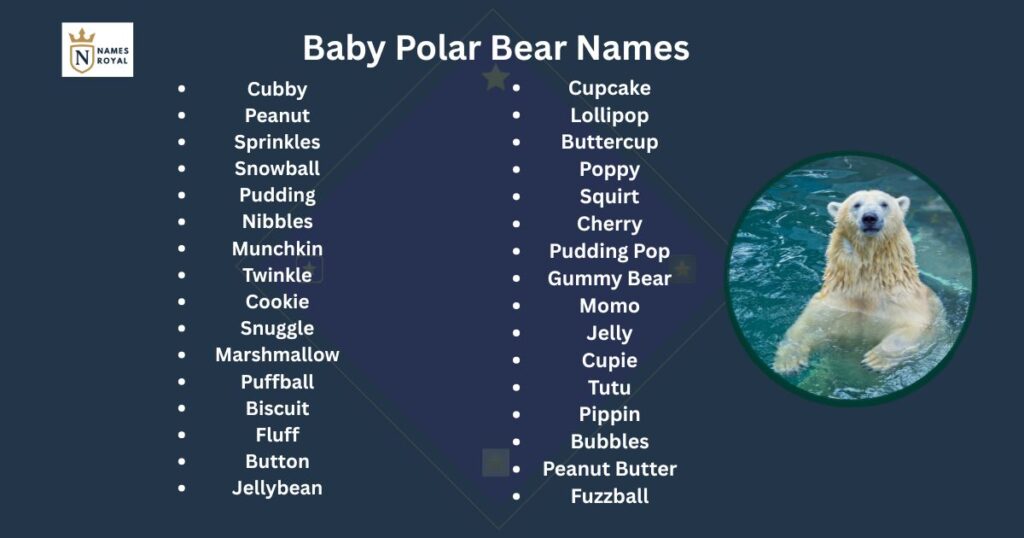 polar bear names