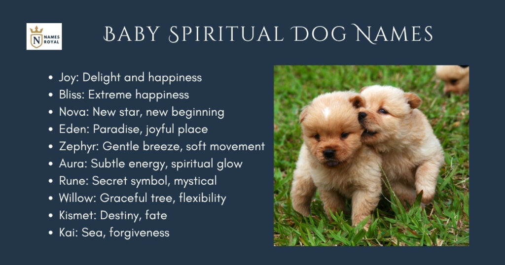 Baby Spiritual Dog Names