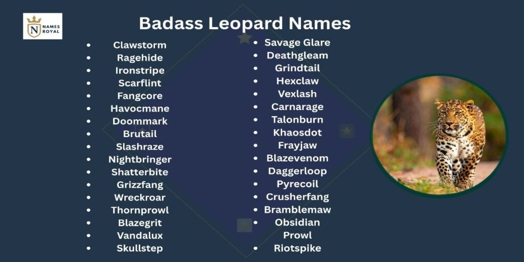 female leopard names