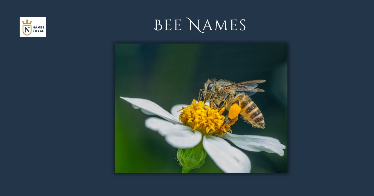 Bee Names