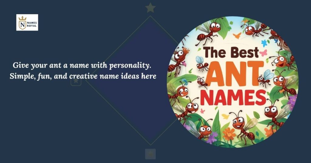 Best Ant names