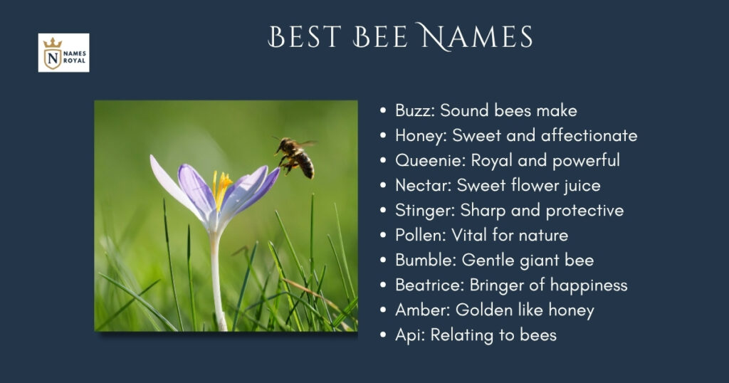 Best Bee Names