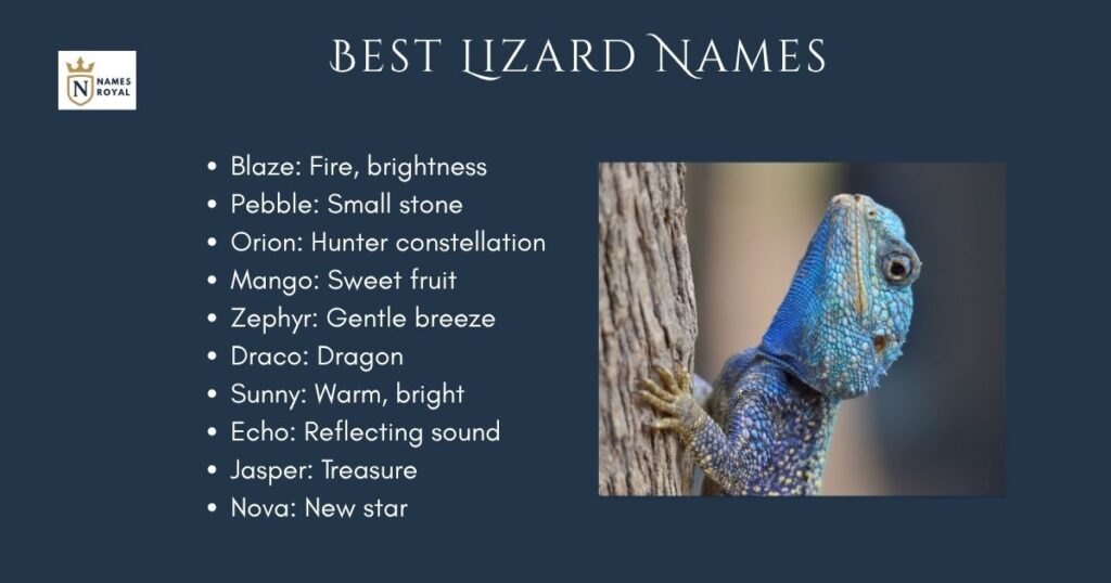 Best Lizard Names