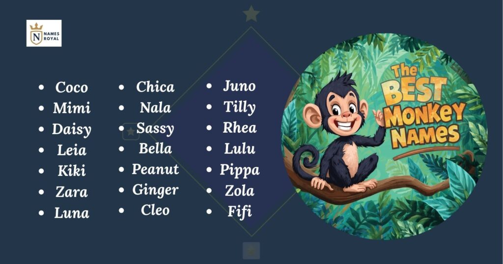 Best Monkey Names