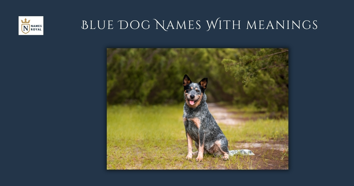 Blue Dog Names