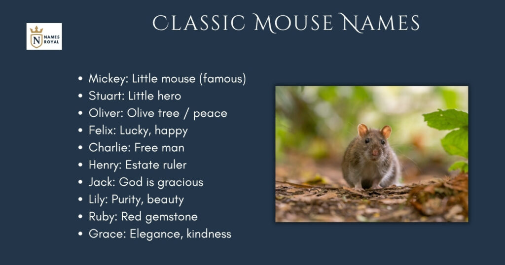 Classic Mouse Names