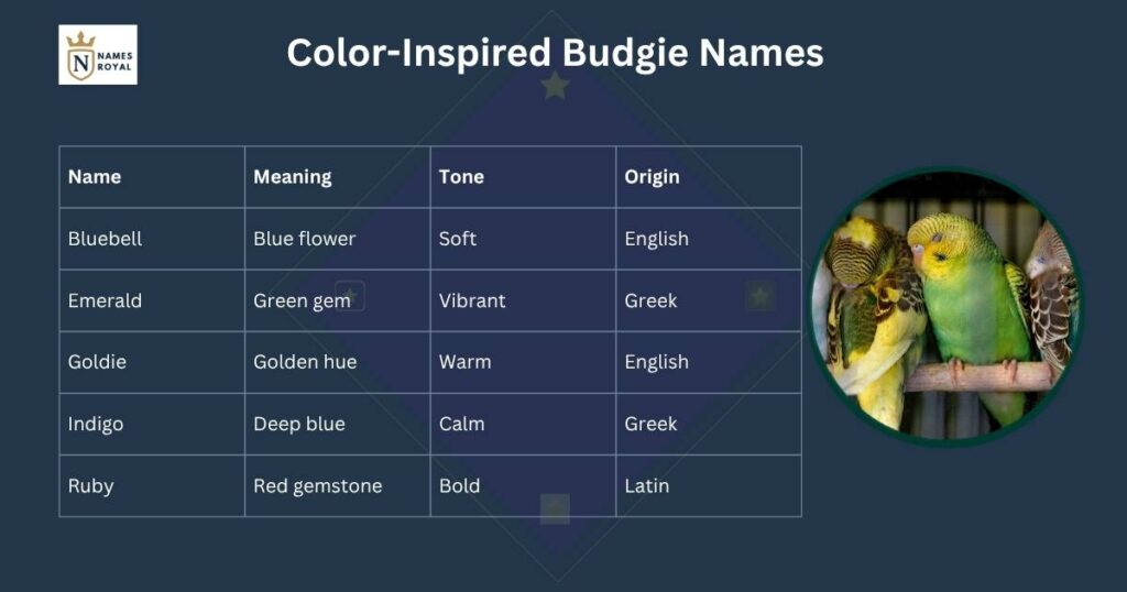 budgie names