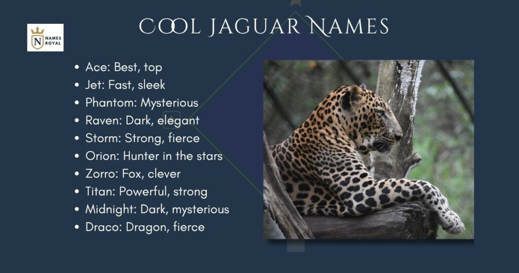 Cool Jaguar Names